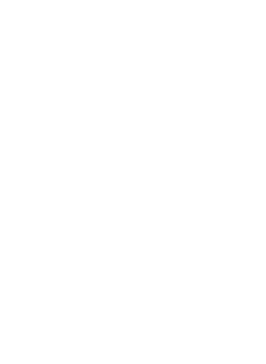 Perron038 logo wit x2